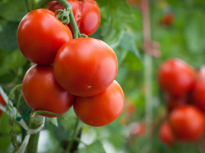 bob综合体育登录:郑州海之源股东解析背靠科研大树